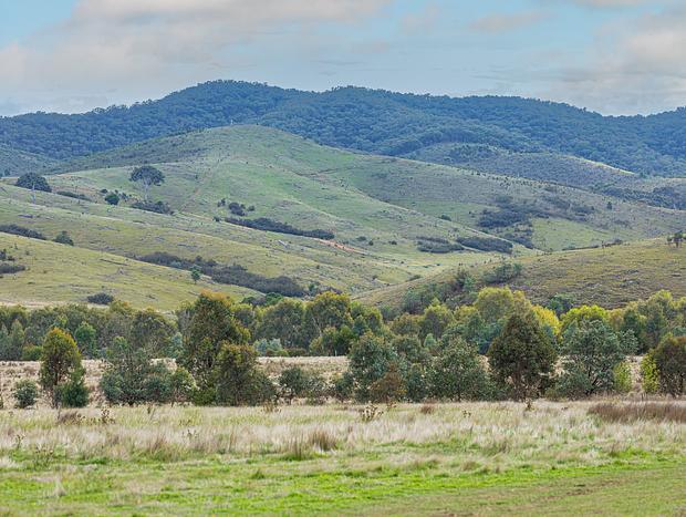 Photo 10 for Zamenhof Cabin on Yass River - Private Farm Stay