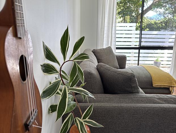 Photo 5 for Wollumbin Springs Cottage in the Beautiful Northern Rivers