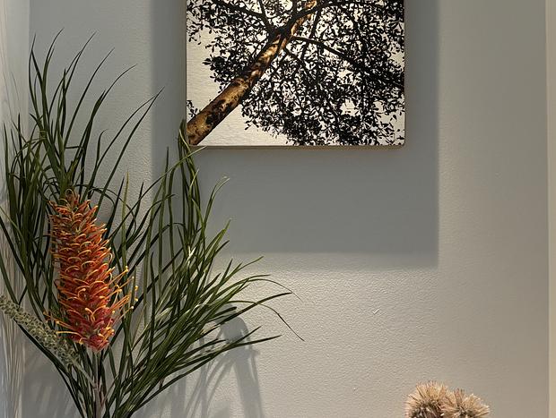 Photo 10 for Wollumbin Springs Cottage in the Beautiful Northern Rivers