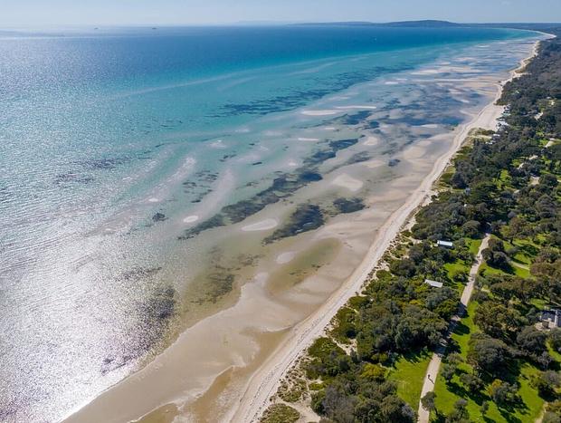 Photo 8 for Coastal Cottage - 200m to Beach & Pet Friendly