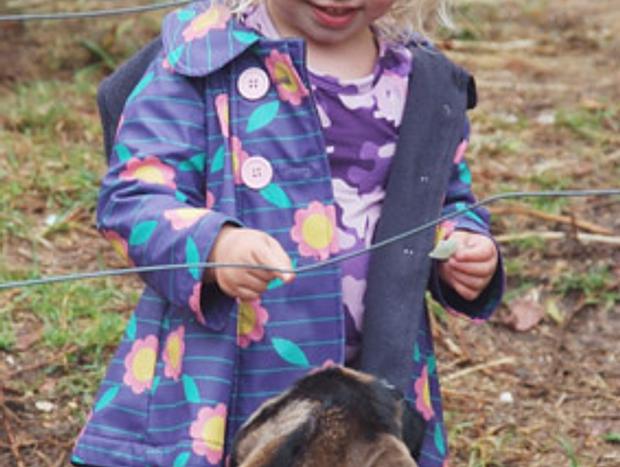 Photo 12 for Peaceful Studio at the Pygmy Goat Farm