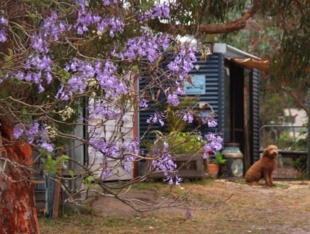 Photo 6 for Peaceful Studio at the Pygmy Goat Farm