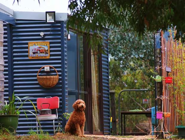 Photo 4 for Peaceful Studio at the Pygmy Goat Farm