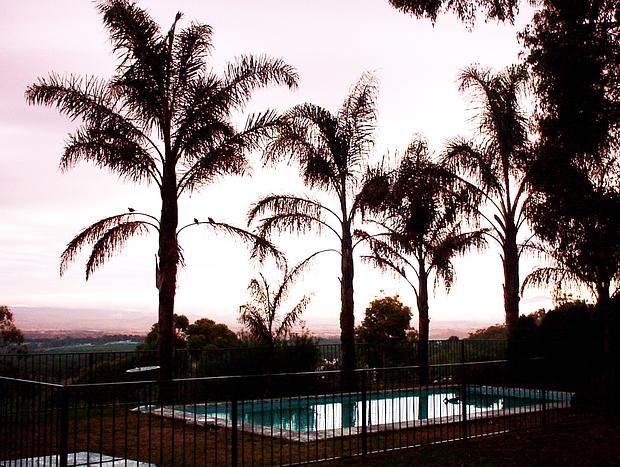 Photo 18 for Yarra Valley Views