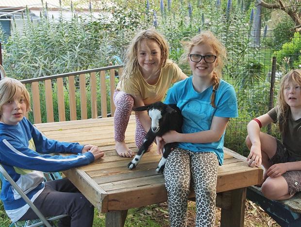 Photo 14 for Peaceful Studio at the Pygmy Goat Farm