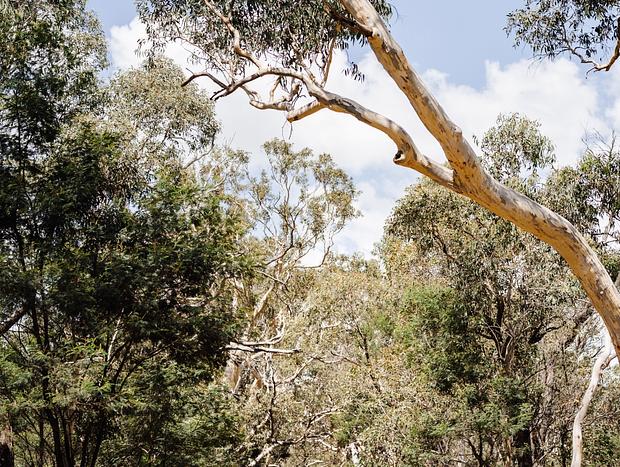 Photo 15 for Under Stars and Sky - Architect-designed Stargazing Cabin on Southern Highlands