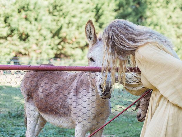 Photo 5 for Patting A Donkey