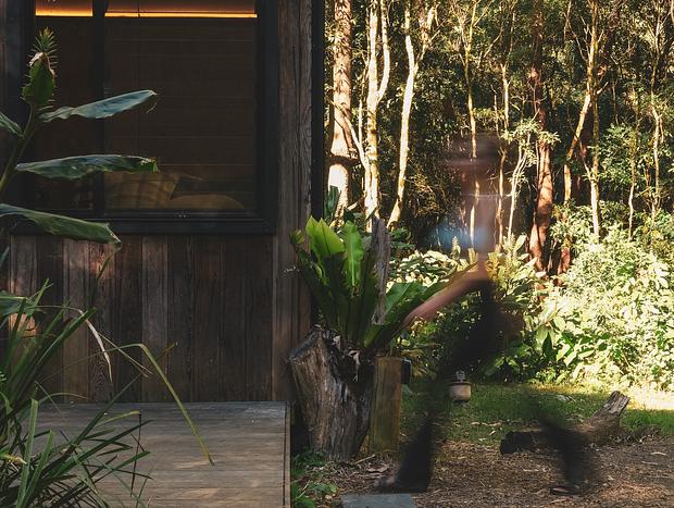 Photo 35 for Peaceful Tiny House Escape