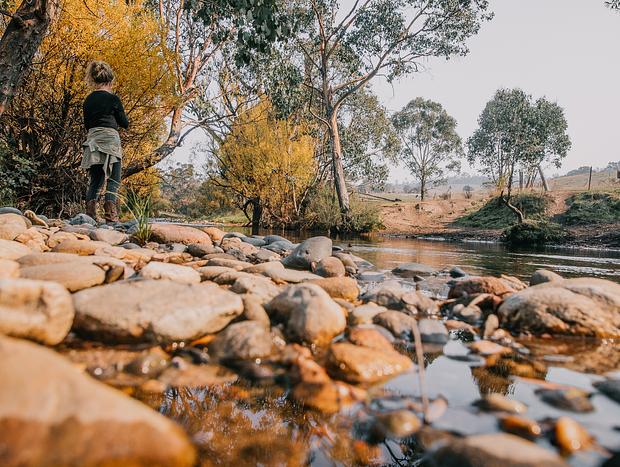 Photo 4 for Trout Hunting and Exporing