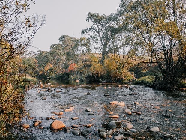 Photo 5 for Trout Hunting and Exporing