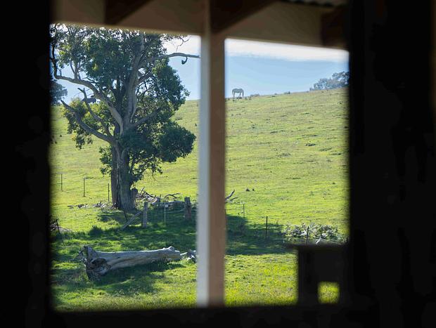Photo 18 for Mountain View Farm