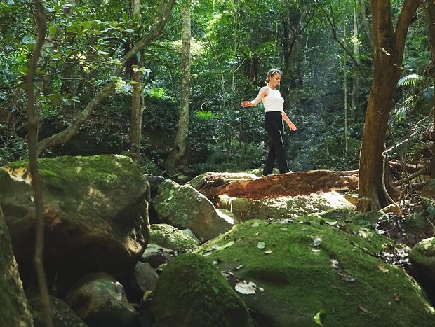 Photo 39 for Rainforest Experience