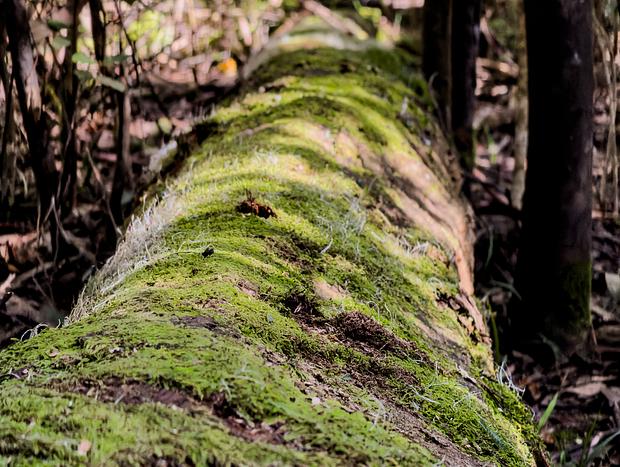 Photo 3 for undefined