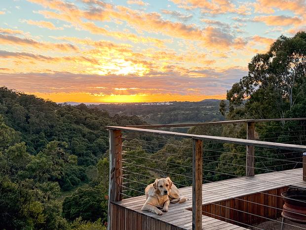 Photo 19 for Twin Tubs In The Treetops