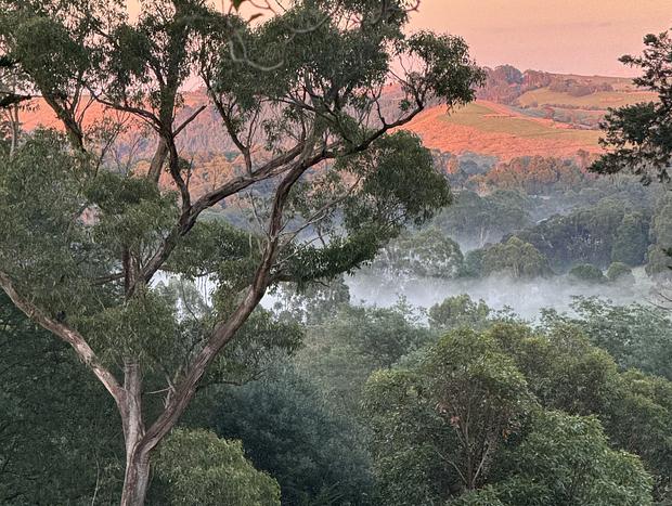 Photo 9 for Hillcrest Farm Stay - slow down in the heart of South Gippsland