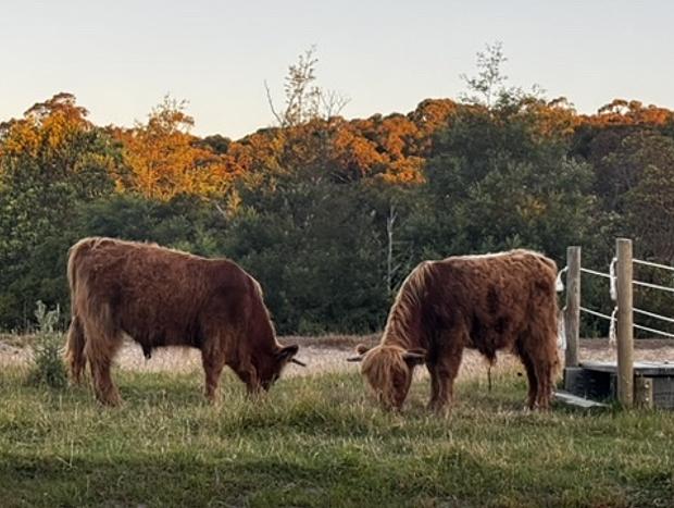 Photo 8 for Hillcrest Farm Stay - slow down in the heart of South Gippsland