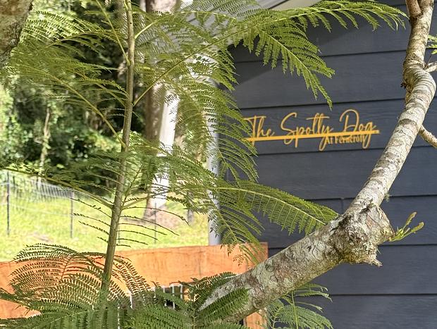 Photo 30 for NEW Luxe Farm Stay with Animals, Firepit, Fresh Eggs & Beach near Terrigal