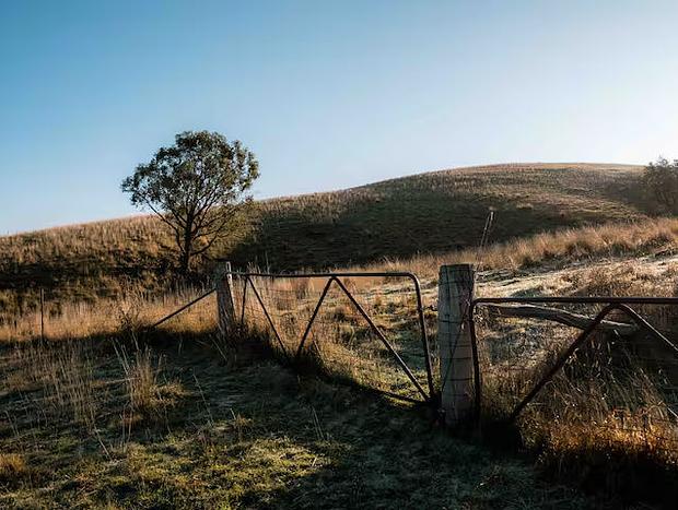 Photo 5 for Eco Farm Stay Sugarloaf