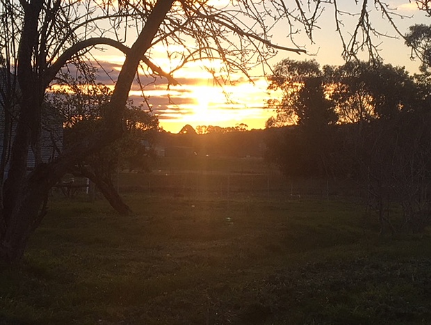 Photo 4 for Grain Store Cottage - enjoy peace and quiet and fresh country air