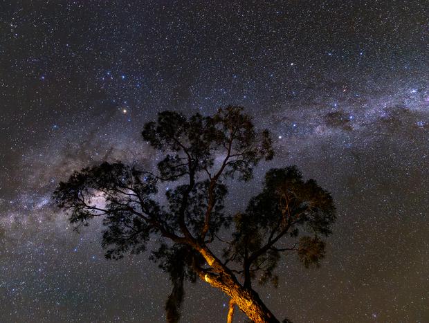 Photo 28 for Dreamy escape above Lake Eildon
