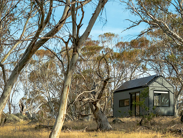 Photo 48 for Big Yard Escapes – Off-grid Tiny House, Wilderness