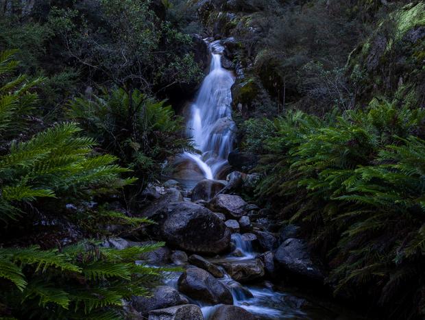 Photo 43 for Slowing Down at Buckland Studio
