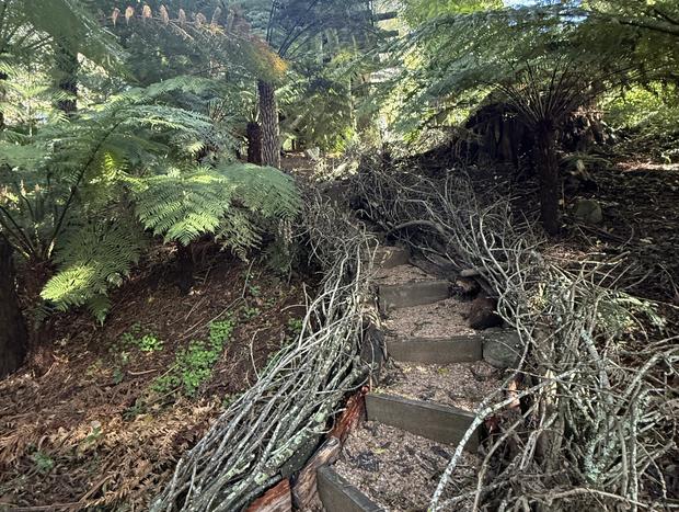 Photo 46 for Sassafras - Treehouse in the Dandenong Ranges