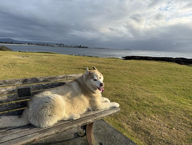 Photo 10 for Sweet Spot Shellharbour
