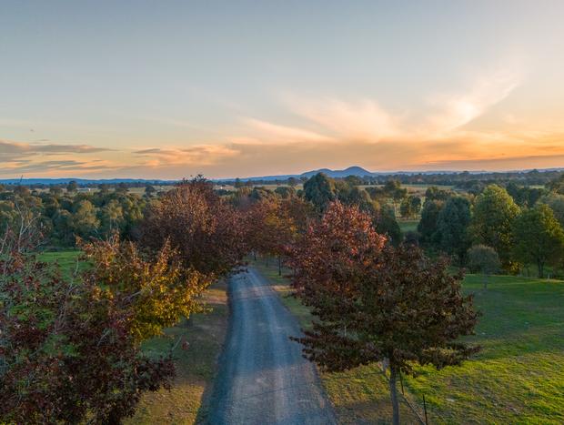 Photo 29 for Best Farm Stay near Mt Buller