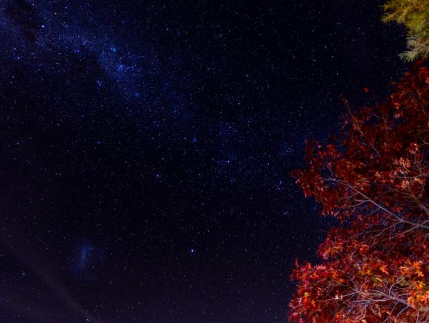 Photo 23 for Best Farm Stay near Mt Buller