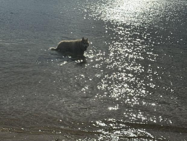 Photo 12 for Sweet Spot Shellharbour