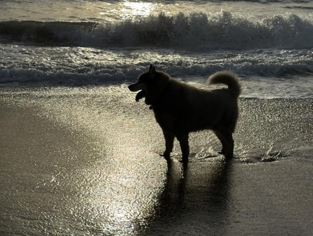 Photo 15 for Sweet Spot Shellharbour