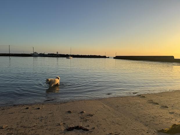 Photo 18 for Sweet Spot Shellharbour