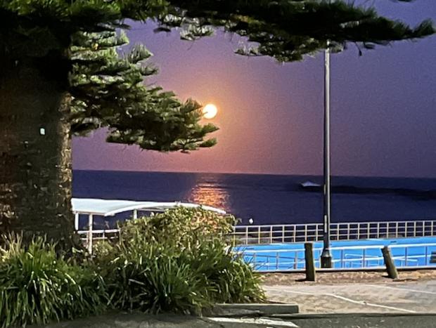 Photo 27 for Sweet Spot Shellharbour