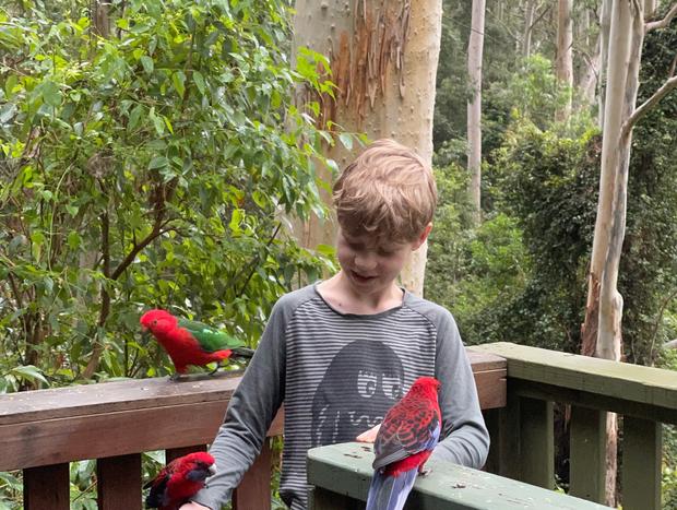 Photo 14 for Tallgums - Immerse Yourself in Ancient Rainforest