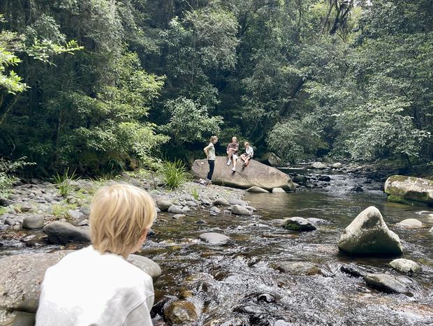 Photo 16 for Tallgums - Immerse Yourself in Ancient Rainforest