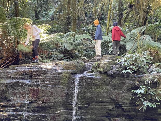 Photo 13 for Tallgums - Immerse Yourself in Ancient Rainforest