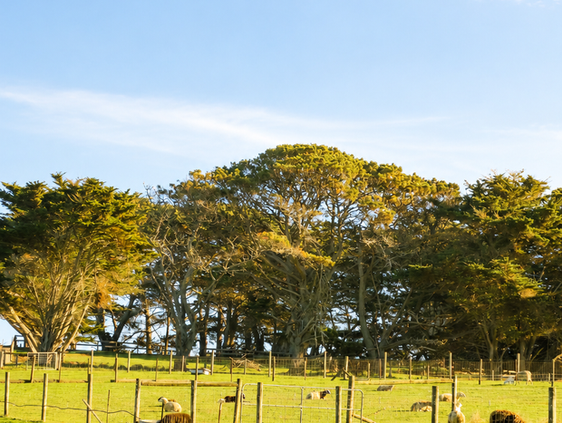 Photo 15 for The Perfect Phillip Island Getaway