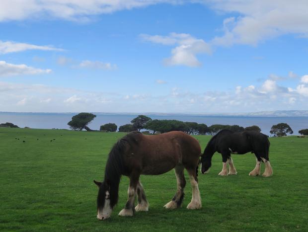 Photo 19 for The Perfect Phillip Island Getaway