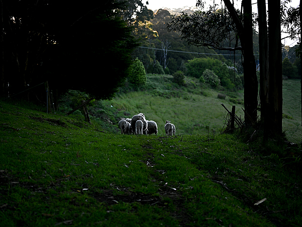 Photo 14 for You, Me, The Forest and The Sea.