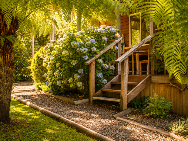 Photo 9 for Top Of The Otways - Country Cottage