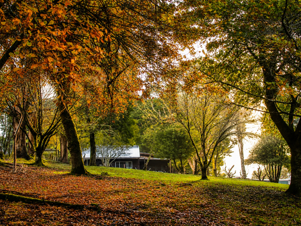 Photo 4 for Top Of The Otways - Nature Lodge