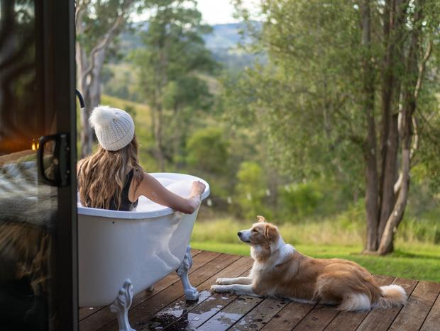Photo 3 for Sunrise Soaks and Wagging Tails