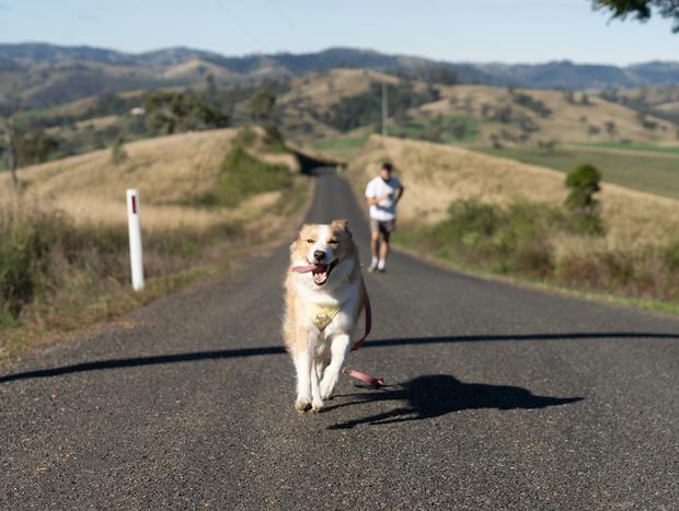 Photo 29 for Sunrise Soaks and Wagging Tails