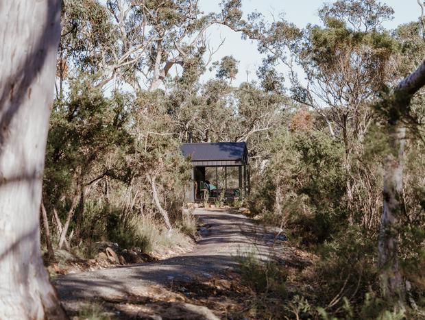 Photo 20 for Cabin wrapped in the wilderness
