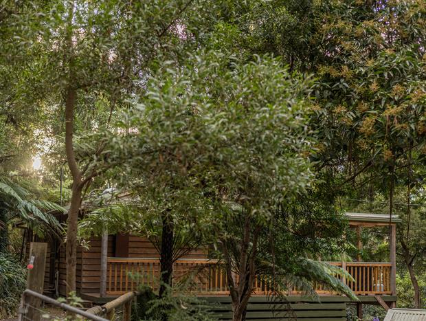 Photo 1 for Fern House - Forest Haven by the Beach