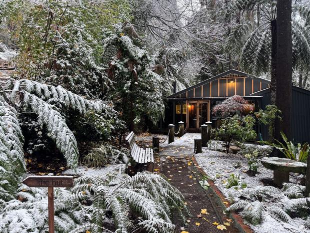 Photo 1 for A Charming Forest Cabin on the Black Spur