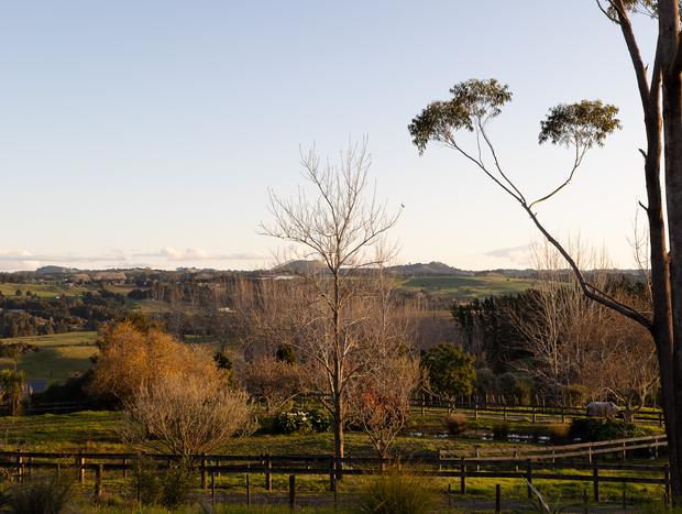 Photo 10 for A Bay of Islands Modern Oasis