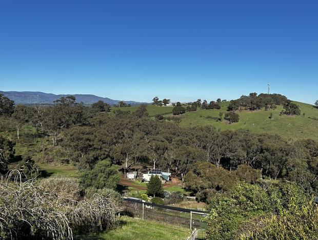 Photo 1 for The Shack at Blue Tongue Berries