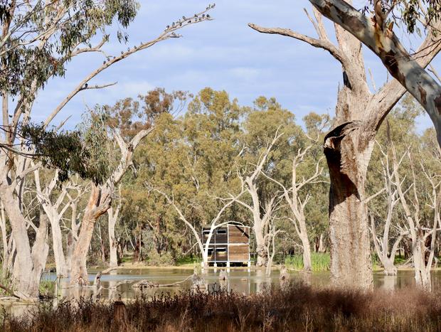 Photo 3 for Bird spotting at Gum Swamp